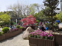 -三好坞景观餐厅