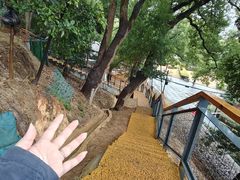 -马王堆汉墓遗址