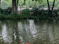 -成都市活水公园
