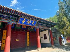 -张掖大佛寺景区