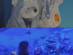 -成都泰迪熊博物馆