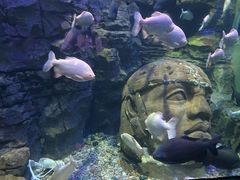 -成都浩海立方海洋公园