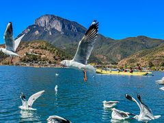 -丽江泸沽湖景区