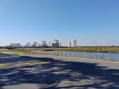-碧海金沙