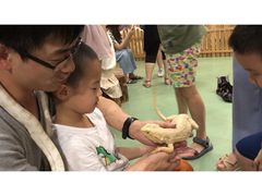 -藦茜花园宠物主题亲子互动体验馆(国顺东路店)