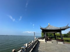 -长田漾湿地公园