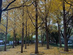 -玲珑塔公园
