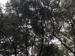 府山公园西大门-府山公园