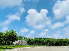 -上海海湾国家森林公园