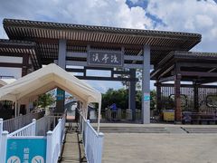 -陶辛水韵