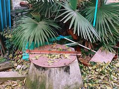 -中国蓝印花布馆