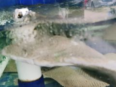 -常家活海鲜小吃(仅一家无分店)