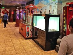 -海碗居老北京炸酱面(增光路店)