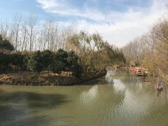 -溱湖国家湿地公园