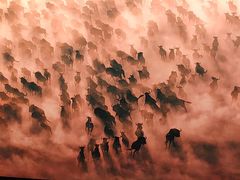 -罗红摄影艺术馆