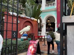 -星巴克臻选(广州沙面店)