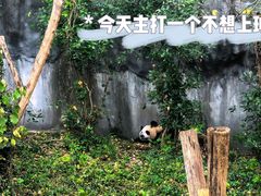 -红山森林动物园