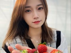 -喜杨洋草莓采摘园