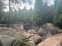 -玉苍山国家森林公园