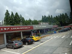 -临港服务区·停车场