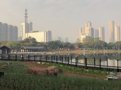 -映月湖公园