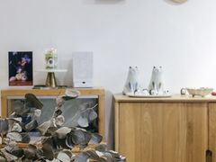 -猫里有甜