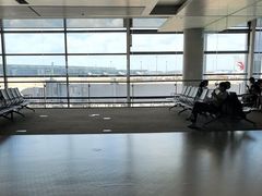 -上海浦东国际机场-T2航站楼