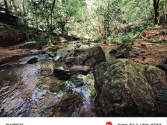-滴水岩森林公园