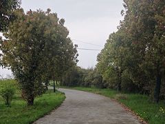 -莲花岛景区