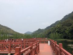 -广州市石门国家森林公园