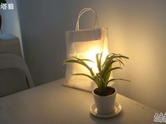 -Babycat私家御饼屋(龙头路一店)