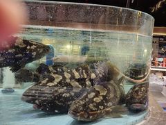 -阿伟海鲜楼·福建菜(延寿店)