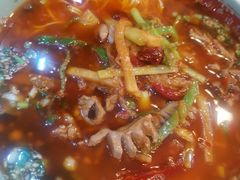 -保儿牛肉面(万象城店)