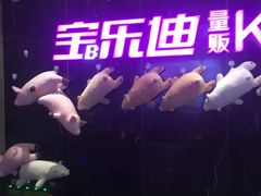 -宝乐星量贩KTV(莲升路店)
