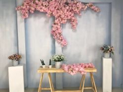 -小熊维尼高端儿童摄影(宝安旗舰店)