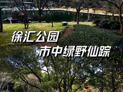 -徐家汇公园