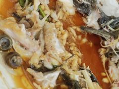 -东鸽皇(奥园·中环广场店)