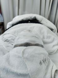 -纤纤玉手美甲美睫美容