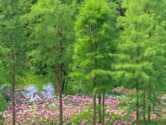 -云溪植物园