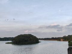 -海珠湖公园
