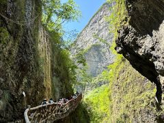 -鹿院坪生态旅游景区