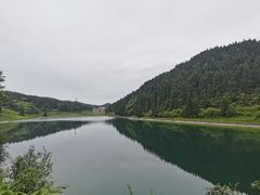 -武陵山森林公园