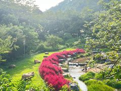 -黄埔油麻山森林公园