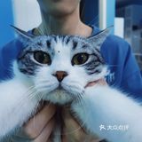心都萌化了[可怜]