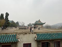 -武汉大学-樱园