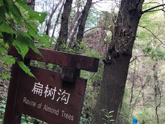 -雾灵西峰