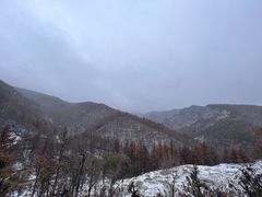 -苏木山森林公园