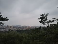 -府君山公园