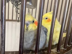 -义乌之心城市生活广场