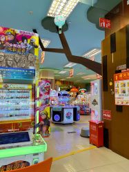 -莫莉幻想儿童乐园(武汉经开永旺店)